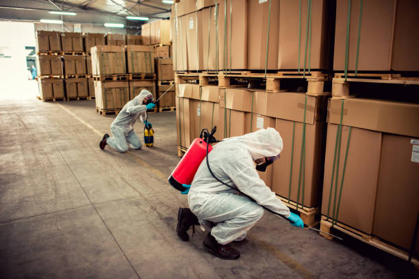 Best Wildlife Control Services  in Shawneetown, IL