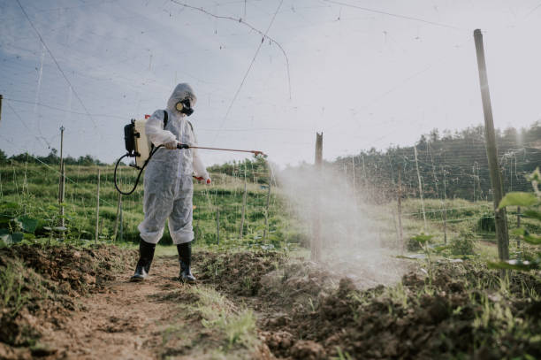 Best Mosquito Control Services  in Shawneetown, IL
