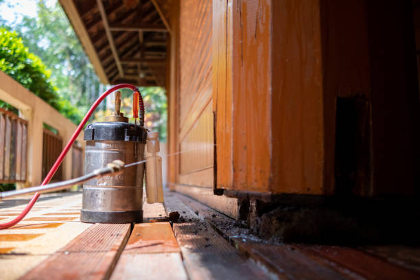 Best Affordable Pest Control Services  in Shawneetown, IL