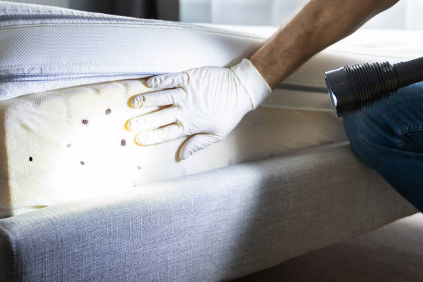 Best Best Pest Control Companies  in Shawneetown, IL