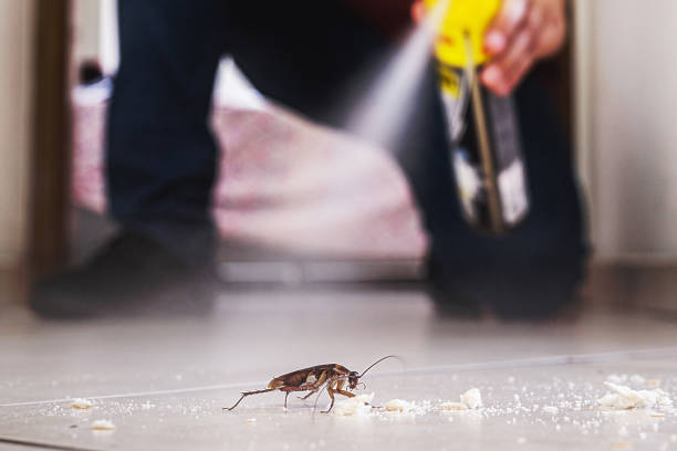Best Wasp Removal Services  in Shawneetown, IL