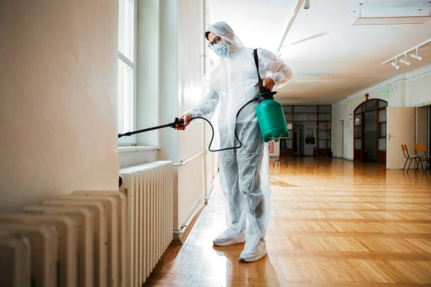 Best Insect Control  in Shawneetown, IL