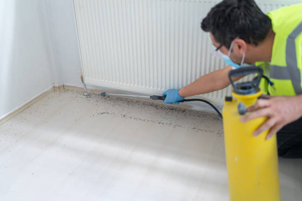 Best Ant Control Services  in Shawneetown, IL