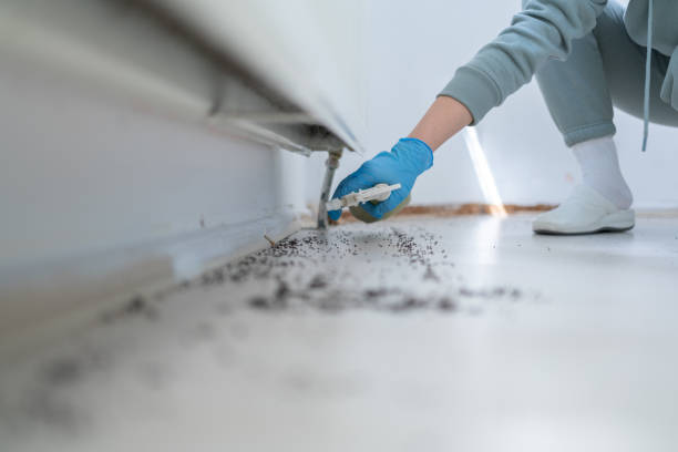 Pest Control Cost in Shawneetown, IL