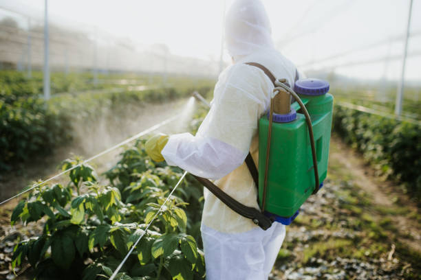 Best Exterminator Services  in Shawneetown, IL